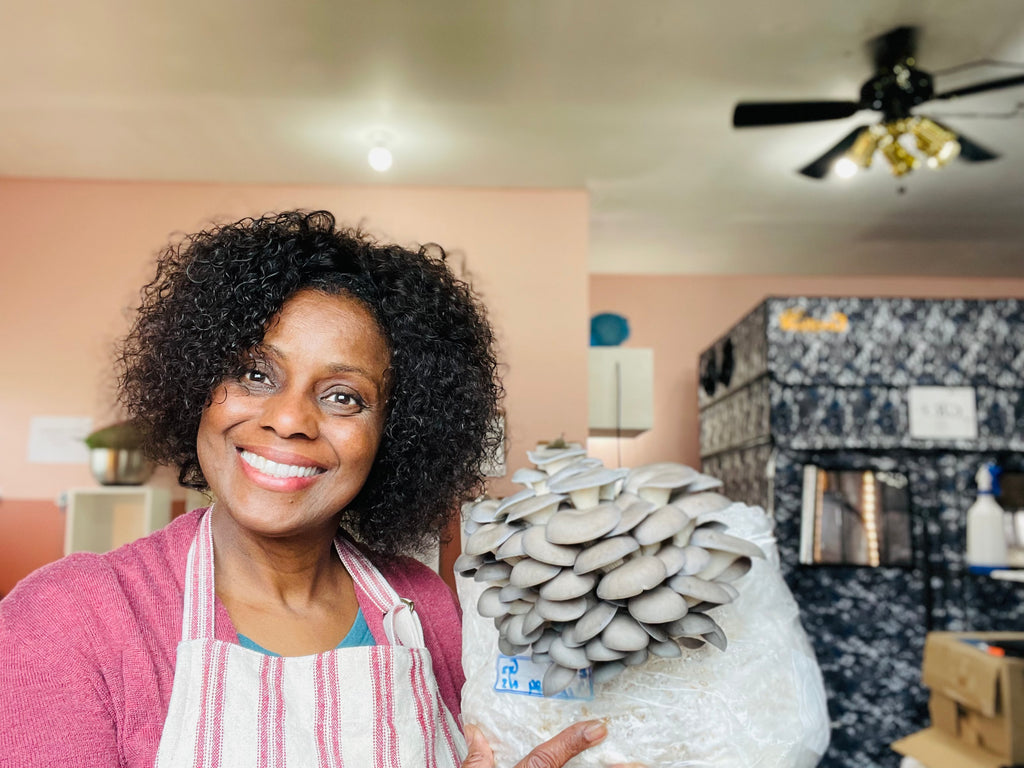 Video-Based Farm Building Consultation