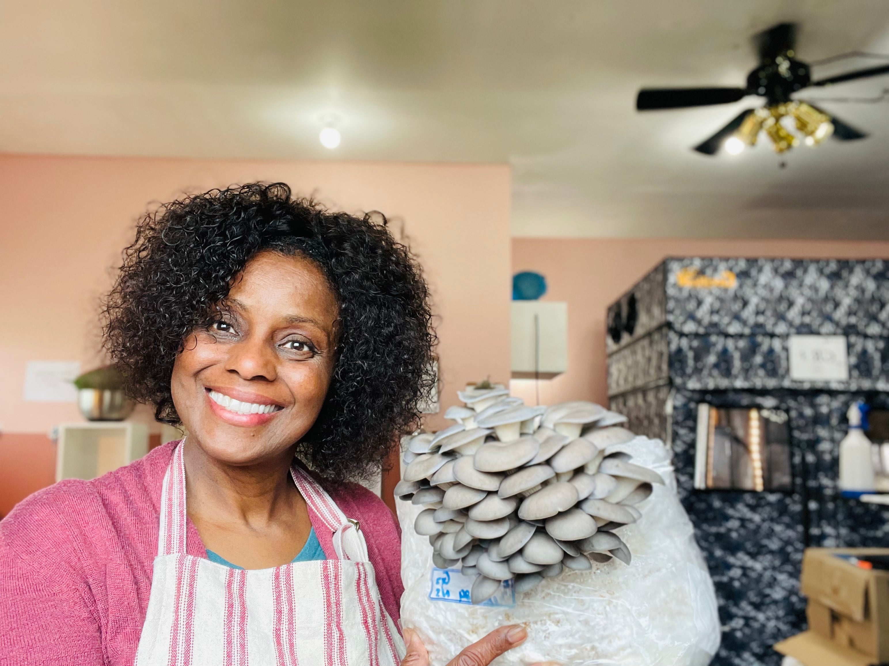 Video-Based Farm Building Consultation