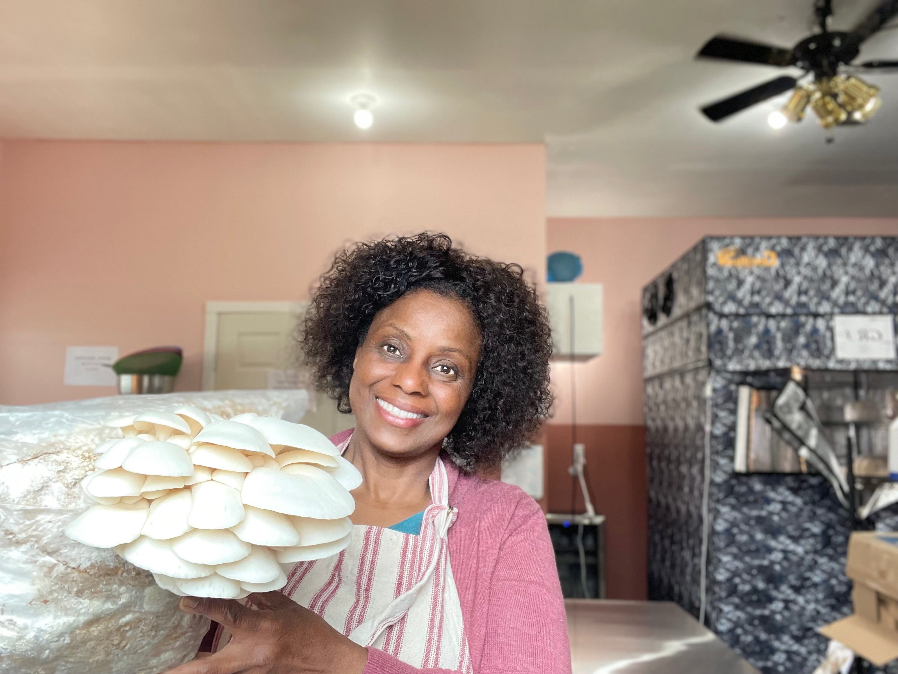 Video-Based Farm Building Consultation