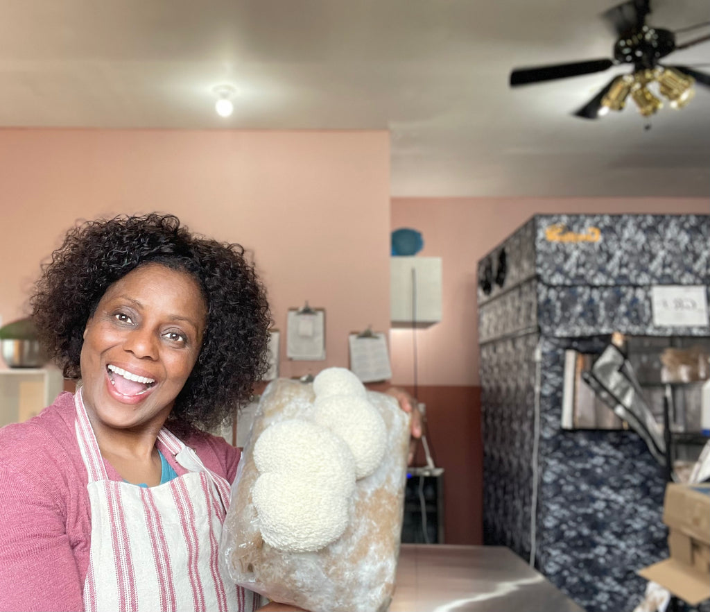 Video-Based Farm Building Consultation