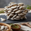 Blue Oyster Mushrooms product image