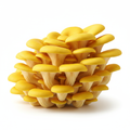 Golden Oyster Mushrooms