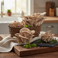 Italian Oyster Mushrooms product image